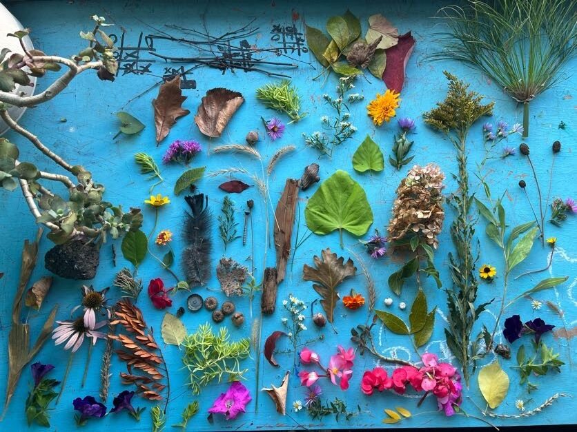 Leaves and flowers arranged on a blue table